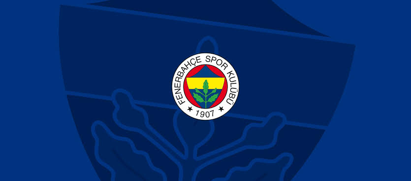 Fenerbahçe Spor Kulübü Renk Kodları